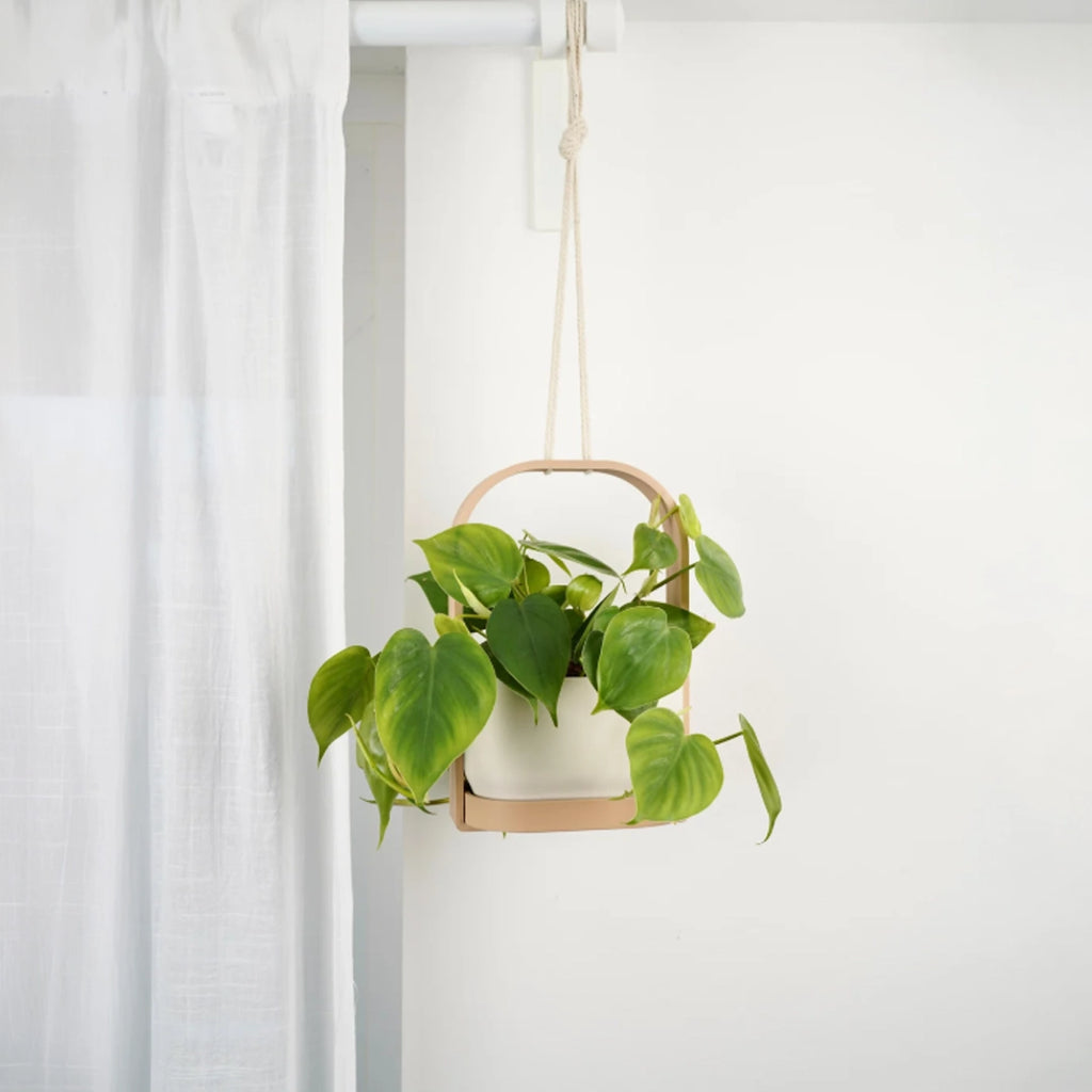 Floating Planter