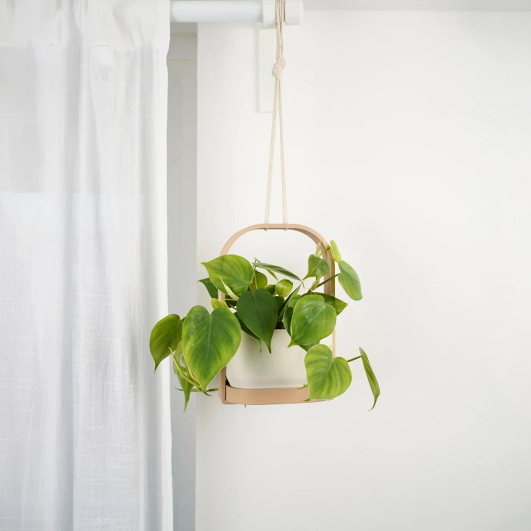 Floating Planter