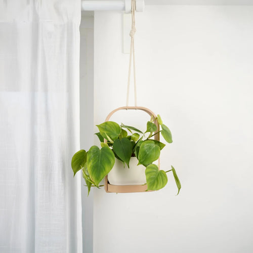 Floating Planter