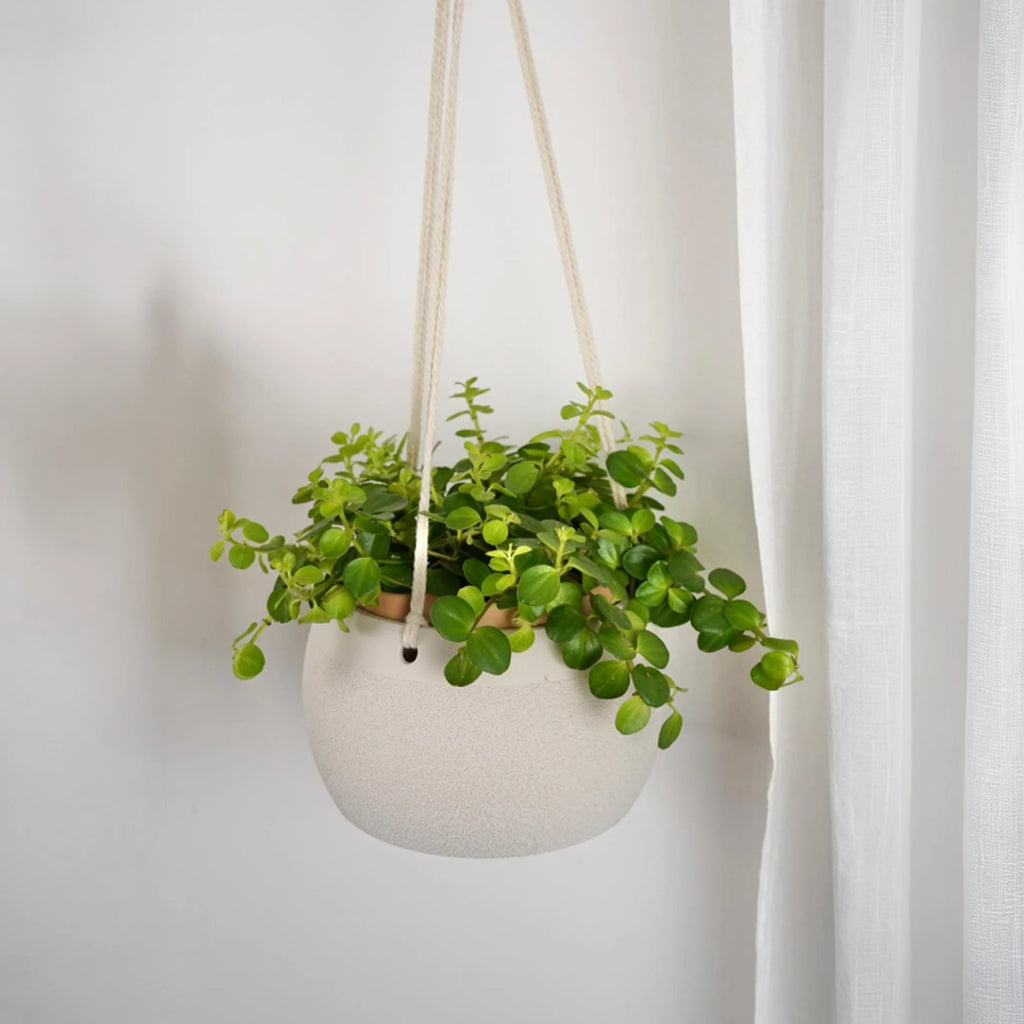 Botanica Air Planters