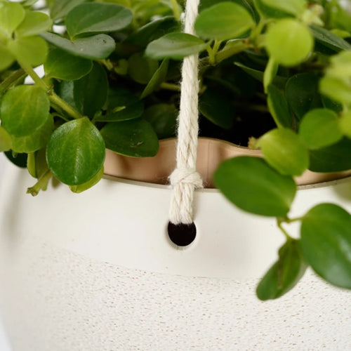 Botanica Air Planters