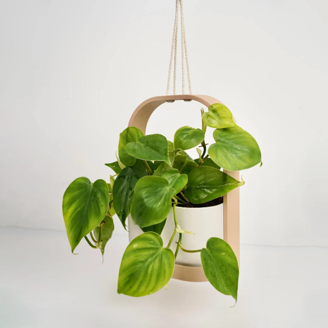Floating Planter