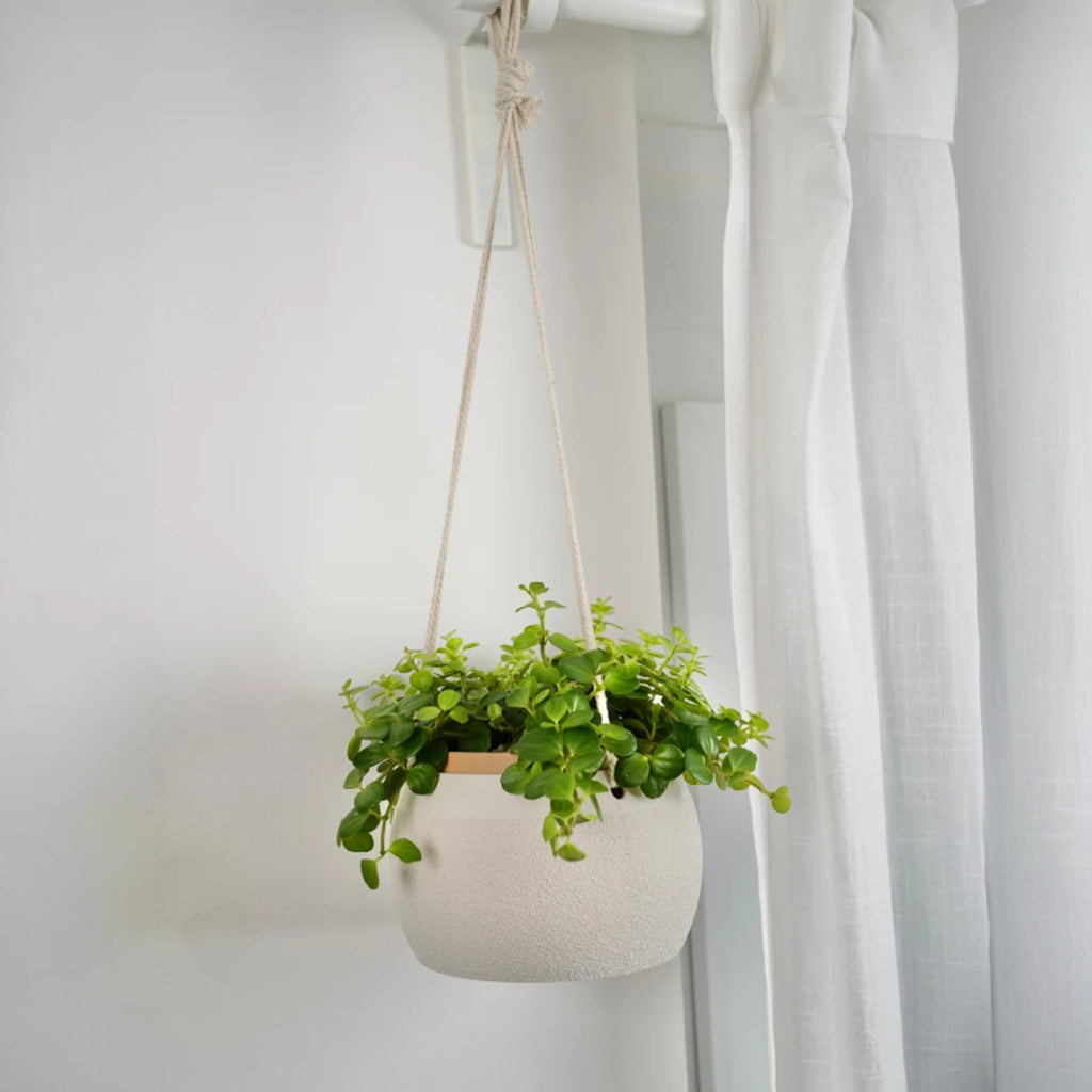 Botanica Air Planters