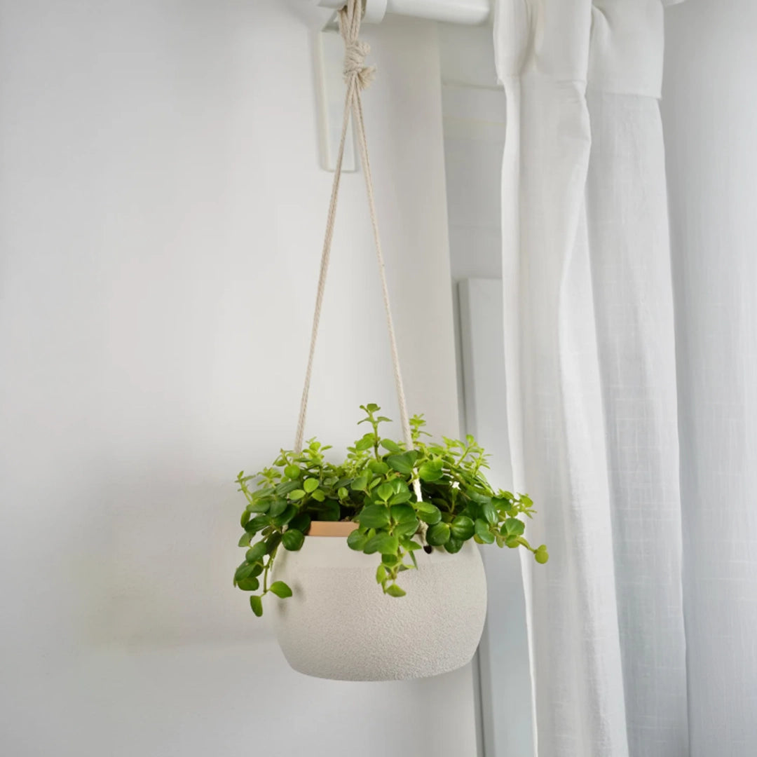 Botanica Air Planters