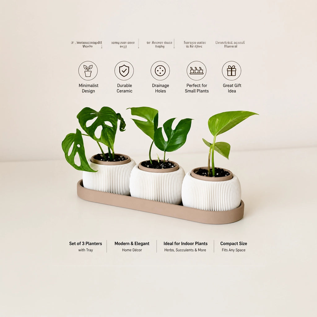 Transform your space with the Urban Leaf Set — a modern trio of minimalist indoor planters designed to elevate your home décor. Perfect for small plants, succulents, and contemporary interiors. Lightweight, stylish, and crafted for modern living.
